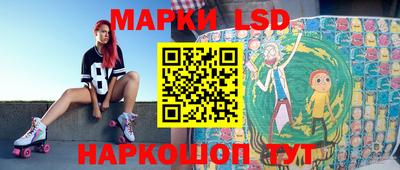 индика Обь