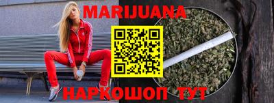 индика Обь