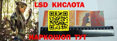 индика Обь