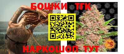 индика Обь
