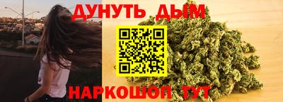 индика Обь