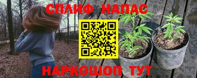 индика Обь
