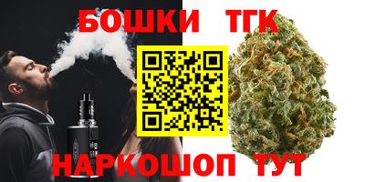 индика Обь