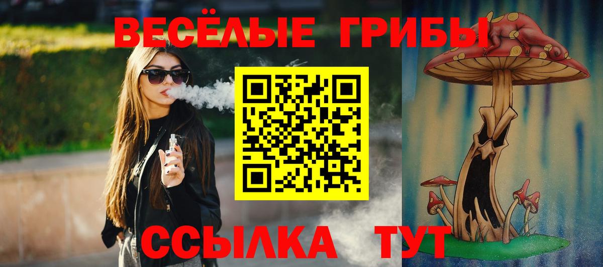 Галлюциногенные грибы Psilocybine cubensis Ростов Великий